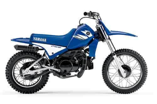 2008 Yamaha PW80 (2-Stroke) 