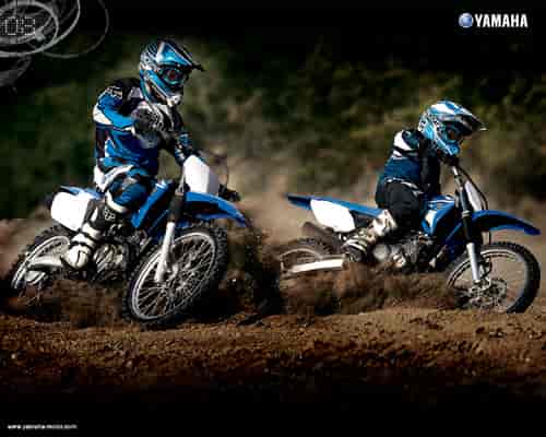 2008 Yamaha TT-R125LE 
