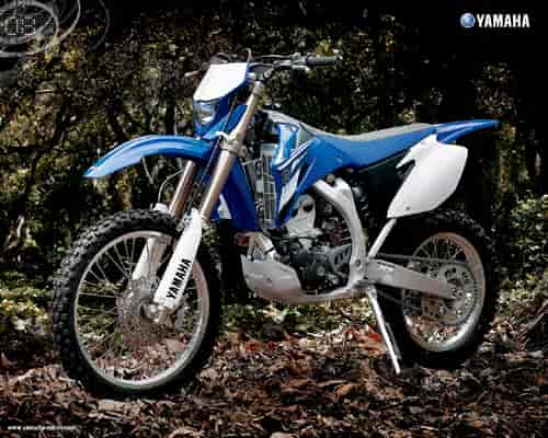 2008 Yamaha WR250F 