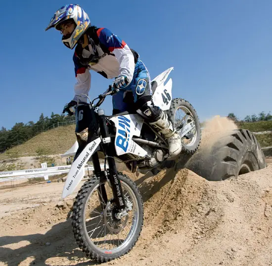 2009 BMW G450X 