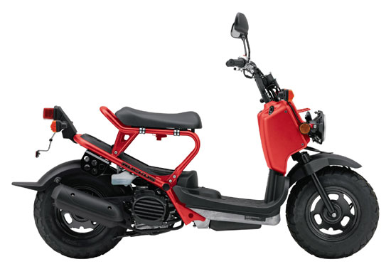 2009 Honda Ruckus NPS50 