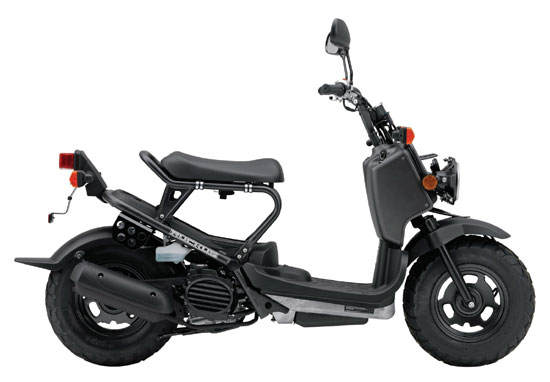 2009 Honda Ruckus NPS50 