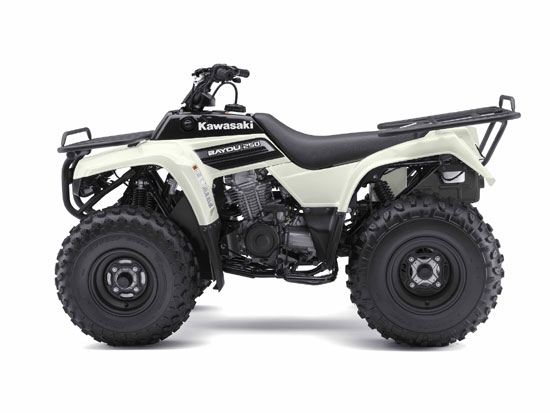 2009 Kawasaki Bayou 250 