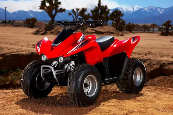 2009 Kawasaki KFX 90 