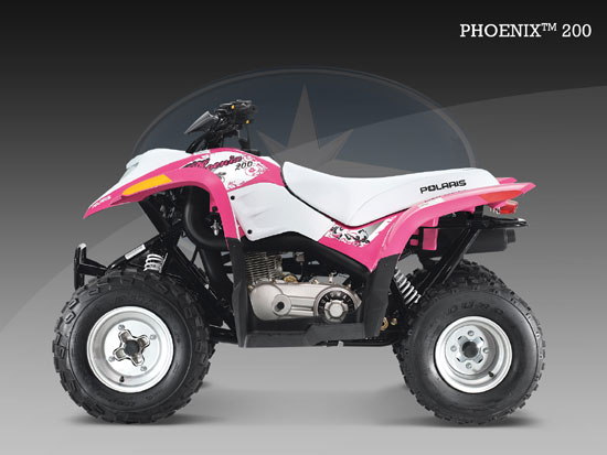 2009 Polaris Phoenix 200 