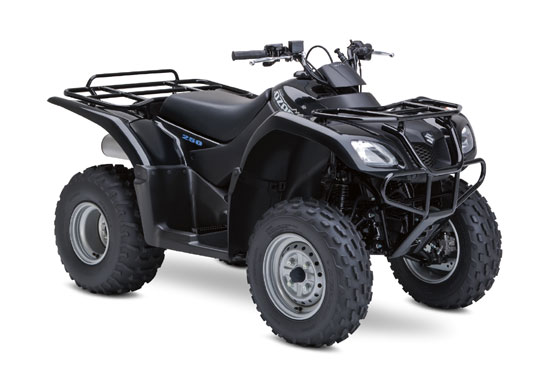 2009 Suzuki Ozark 250 4x2 