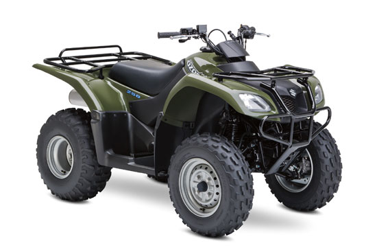 2009 Suzuki Ozark 250 4x2 