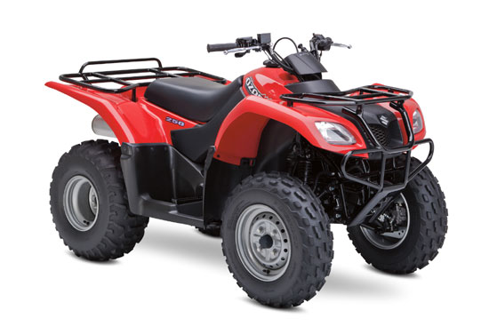 2009 Suzuki Ozark 250 4x2 