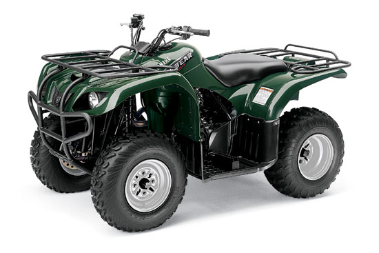 2009 Yamaha Big Bear 250 