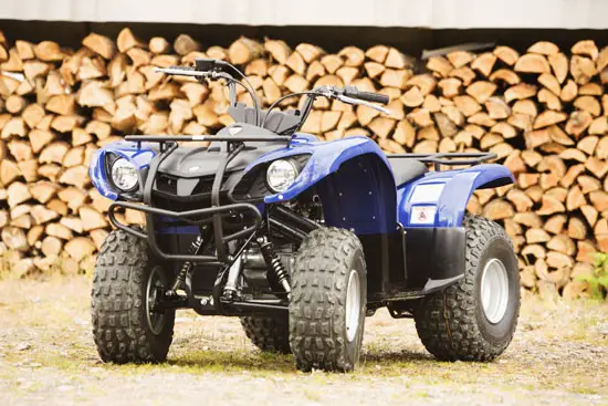 2009 Yamaha Grizzly 125 