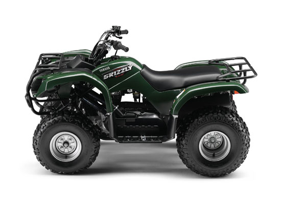 2009 Yamaha Grizzly 125 