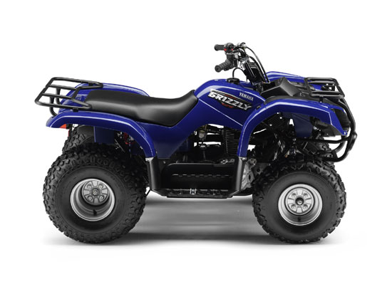 2009 Yamaha Grizzly 125 