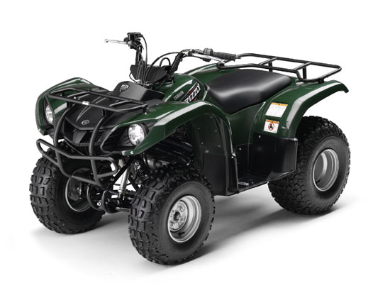 2009 Yamaha Grizzly 125 