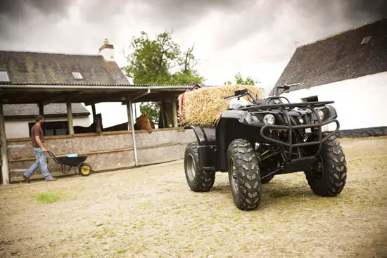 2009 Yamaha Grizzly 350 2WD 