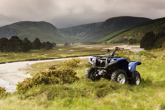 2009 Yamaha Grizzly 550 FI EPS 