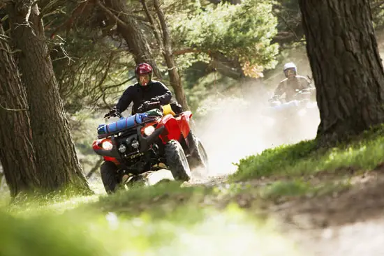 2009 Yamaha Grizzly 550 FI 