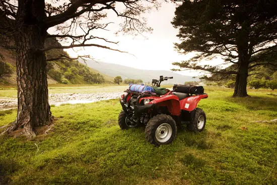 2009 Yamaha Grizzly 550 FI 
