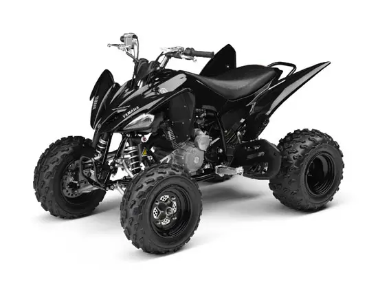 2009 Yamaha Raptor 250 VFM250R 