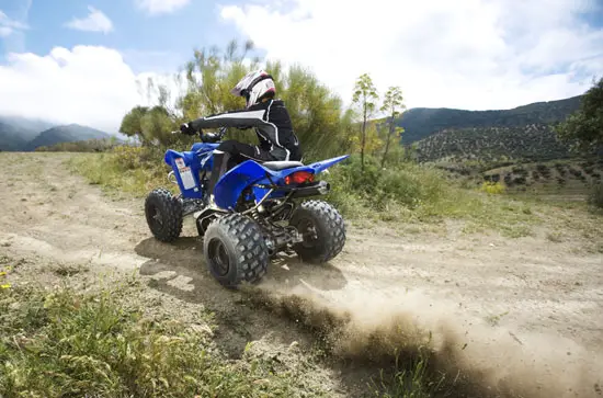 2009 Yamaha Raptor 350 
