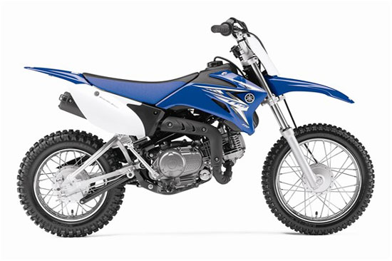2009 Yamaha TT-R110E 