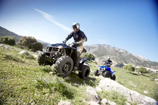 2009 Yamaha Wolverine 450 