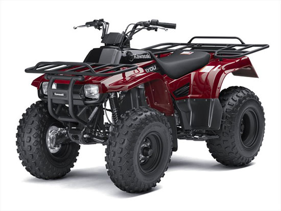 2010 Kawasaki Bayou 250 