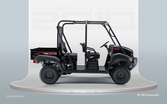 2010 Kawasaki Mule 4010 Trans4X4 