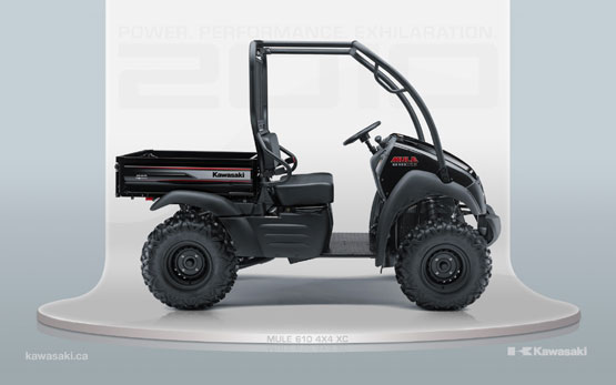 2010 Kawasaki Mule 610 4X4 XC 