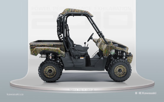 2010 Kawasaki Teryx 750 FI 4x4 LE 