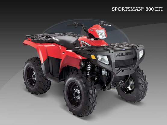 2010 Polaris 800 