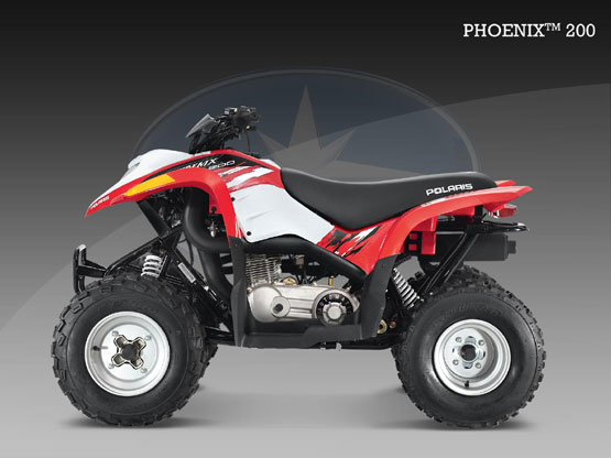 2010 Polaris Phoenix 200 