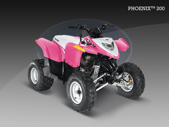 2010 Polaris Phoenix 200 