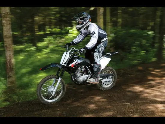 2010 Suzuki DR-Z125