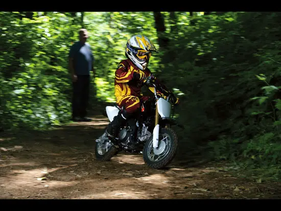 2010 Suzuki DR-Z70