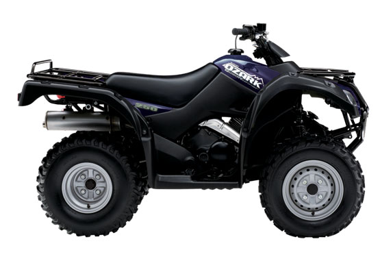 2010 Suzuki Ozark 250 5-Speed 