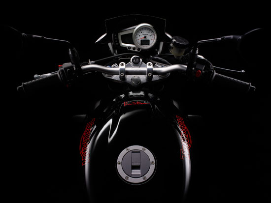 2010 Triumph Speed Triple Special Edition 