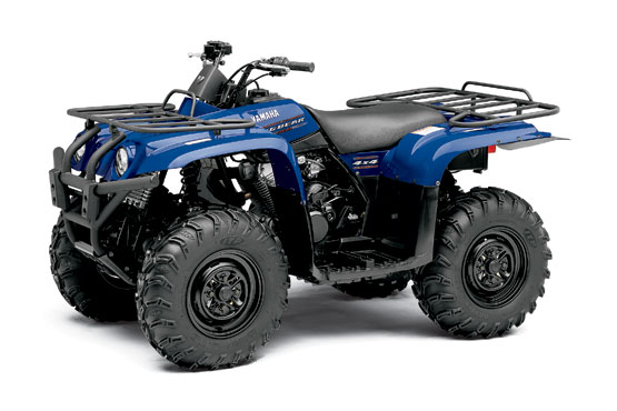 2010 Yamaha Big Bear 400 
