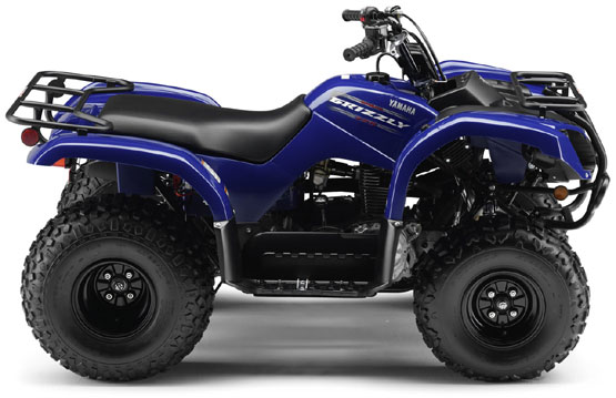 2010 Yamaha Grizzly 125 