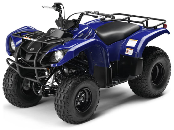 2010 Yamaha Grizzly 125 