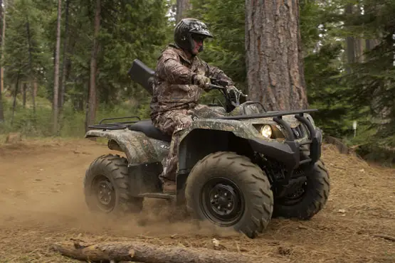 2010 Yamaha Grizzly 350 4x4 IRS 