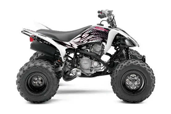 2010 Yamaha Raptor 250 