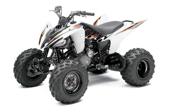 2010 Yamaha Raptor 250 
