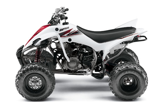 2010 Yamaha Raptor 350 