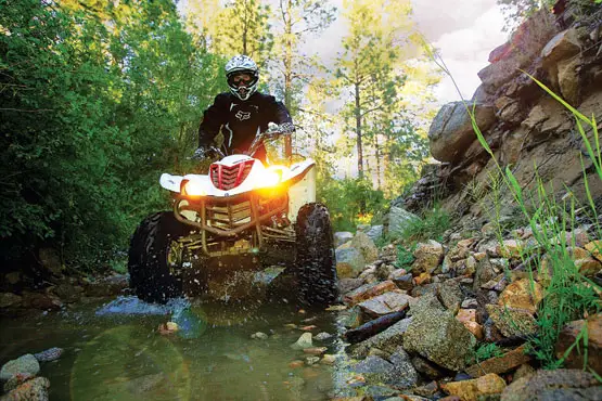 2010 Yamaha Wolverine 450 4x4 