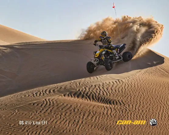 2011 Can-Am DS 450 X MX 