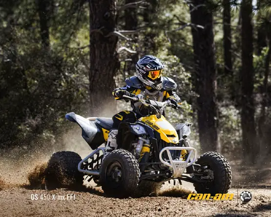 2011 Can-Am DS 450 X MX 