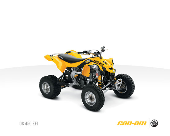 2011 Can-Am DS 450 