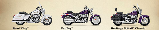 2011 Harley-Davidson Shrine Heritage Softail Classic 