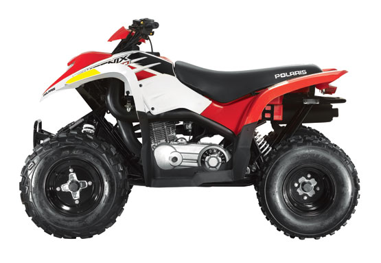 2011 Polaris Phoenix 200 