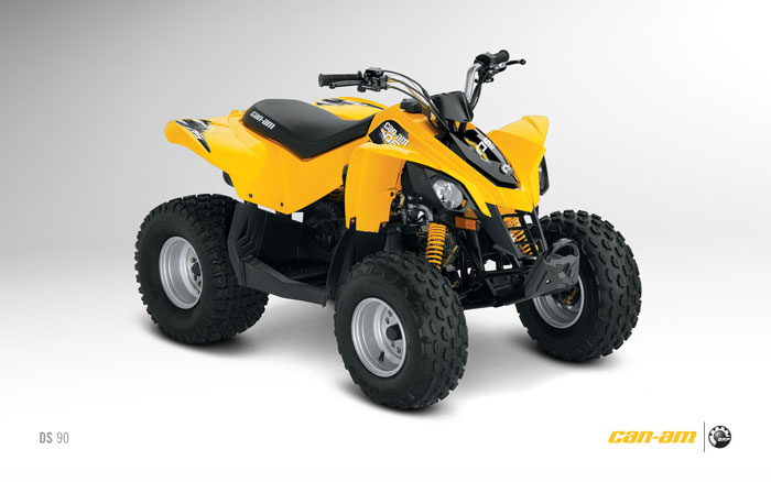 2012 Can-Am DS 90